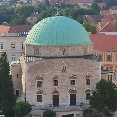 Tettyei Haziko *