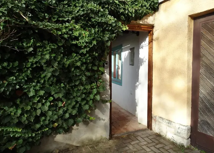 Tettyei Haziko 아파트 페치